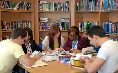 Institution-wide languages programmes in UK universities