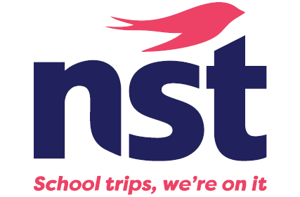 NST website resize